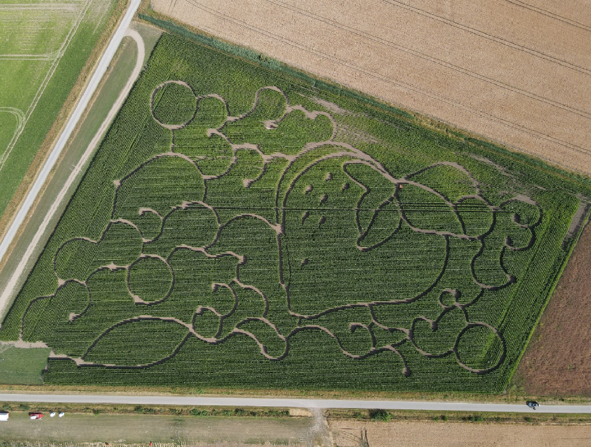 Maislabyrinth Luftbild_schnitt.jpg