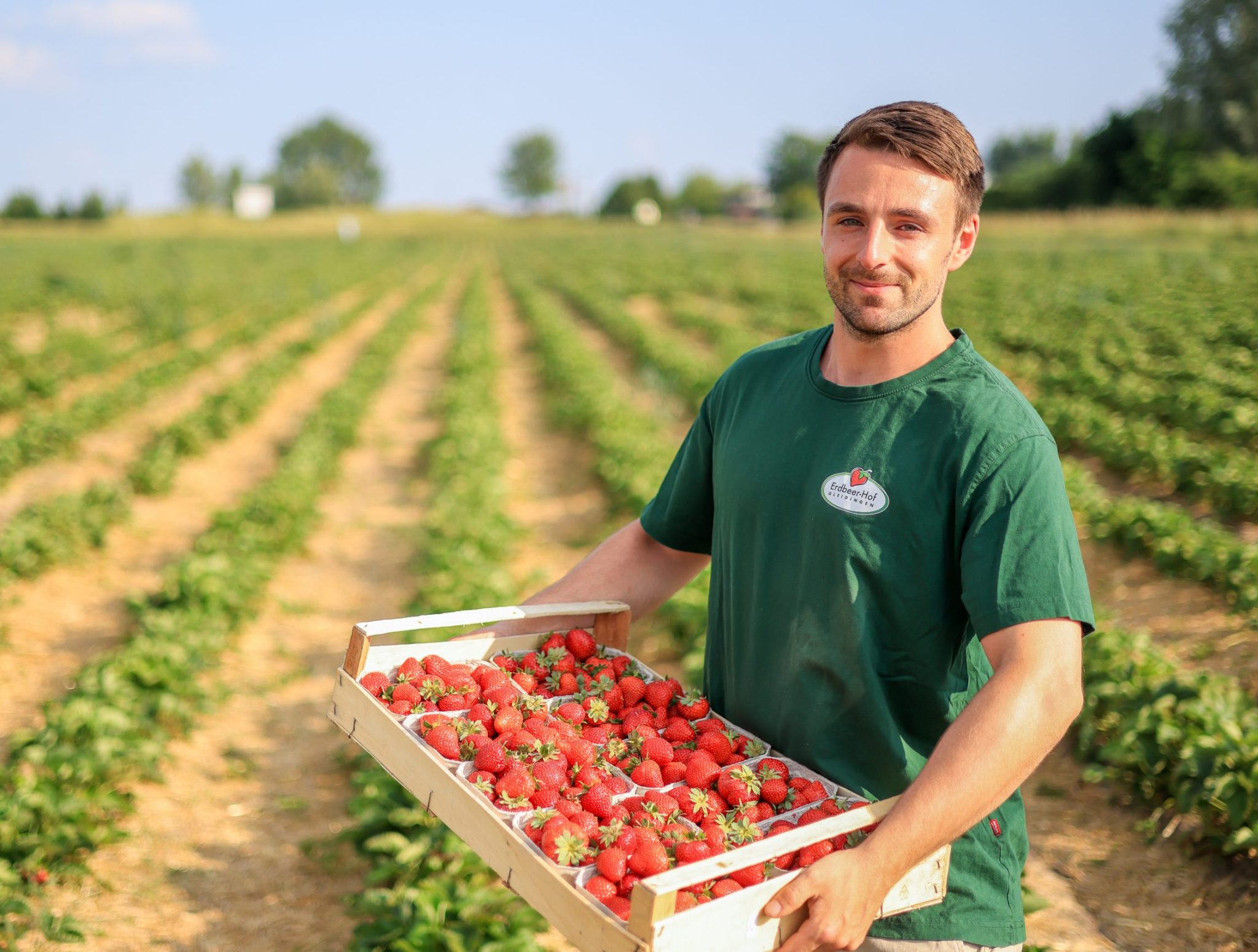 erdbeeren-fotograf_filipp_romanovski-www.filipp-roma.de (263 von 295)